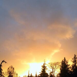 QDA Master Class Reviewer